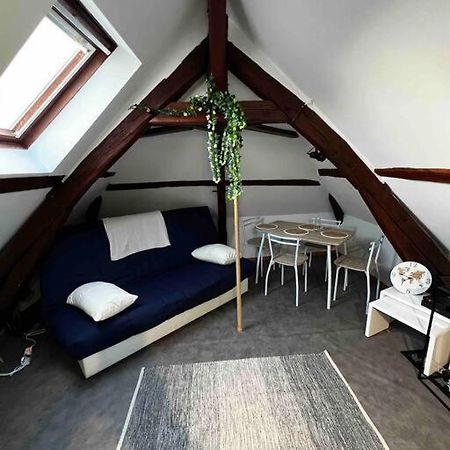 Tres Beau Studio Mansarde, Centre De Bourges Apartamento Exterior foto