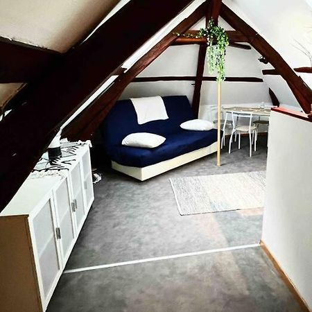 Tres Beau Studio Mansarde, Centre De Bourges Apartamento Exterior foto