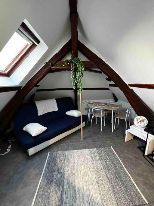 Tres Beau Studio Mansarde, Centre De Bourges Apartamento Exterior foto