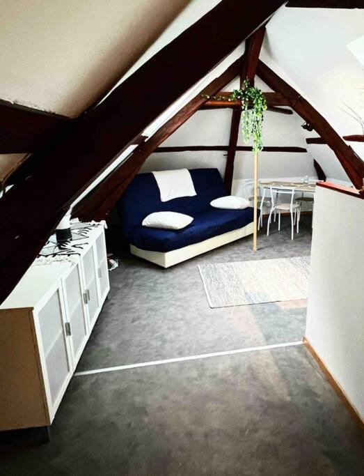 Tres Beau Studio Mansarde, Centre De Bourges Apartamento Exterior foto
